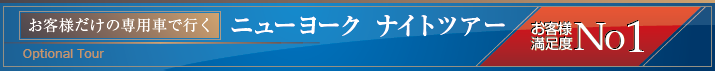 ニューヨークナイトツアー