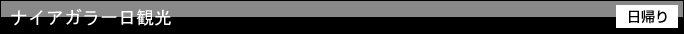 ナイアガラ一日観光(日帰り)